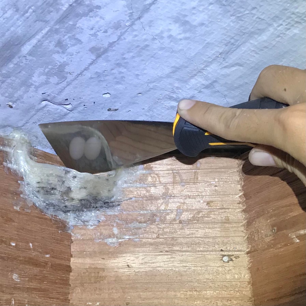 Dao hái  Tổ Yến chuyên dụng
