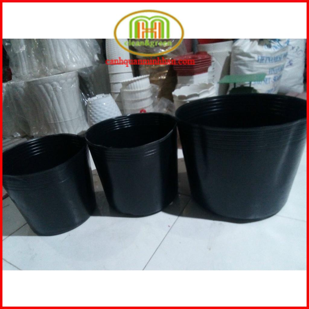 Chậu nhưạ đen C10 ươm cây trồng cây hoa Tết 25x20cm combo 10 cái Minh Hân Garden