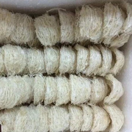 Yến tinh chế nguyên tổ Khánh Hòa 50g [Yến nhà nuôi tại Khánh Hòa, bao test, được kiểm tra hàng trước khi nhận] FREESHIP