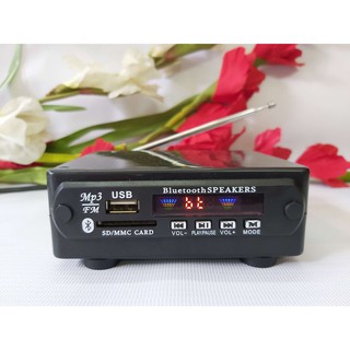 Thiết Bị Nhận Bluetooth D.I.Y 5.0 - Auto Volt