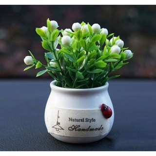 Chậu cây tiểu cảnh trang trí taplo xe, bàn làm việc, chậu  lá sen, chậu cây xanh mix set