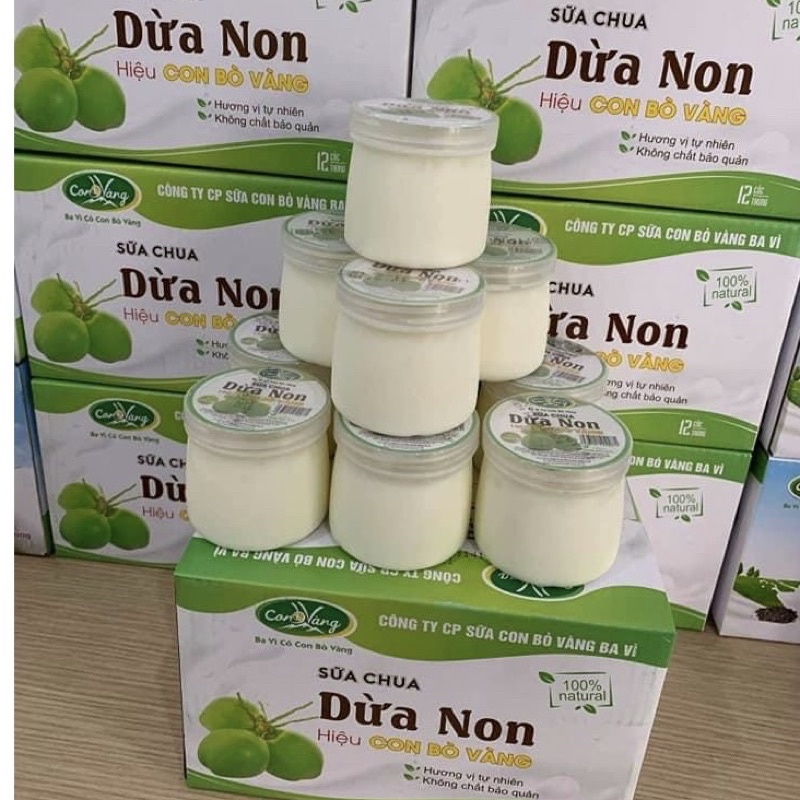 Sữa chua dừa non Ba Vì (thùng 12 hộp)