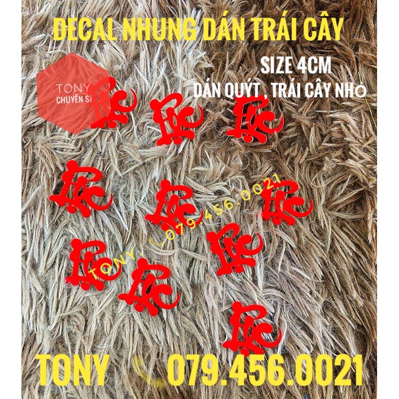Chữ nhung thư pháp PHÚC - LỘC - PHÁT - TÀI dán dưa hấu & bưởi trang trí Tết  - TONY HOUSE