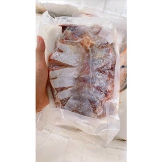GIAO SIÊU TỐC -CÁ ĐUỐI 1 NẮNG SIÊU NGON