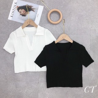 Áo len tăm cổ V 2 màu basic