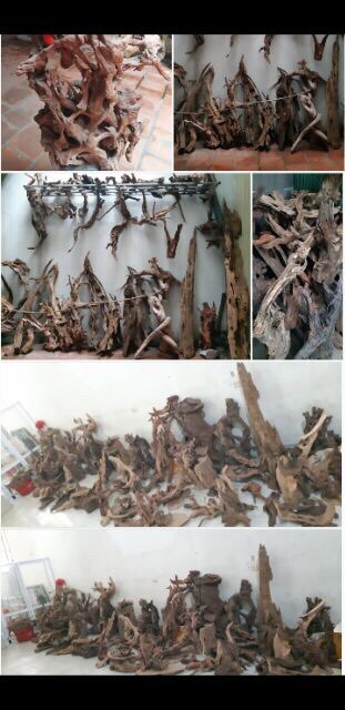 Cành gỗ lũa khô trang trí bể cá thủy sinh bonsai, tiểu cảnh, ghép lan