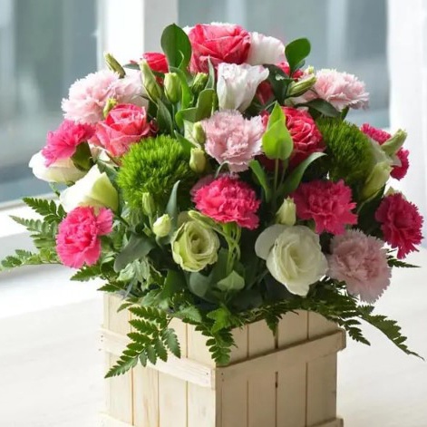 100h Hạt Giống Hoa Cẩm Chướng Kép Mix - TaNe Garden