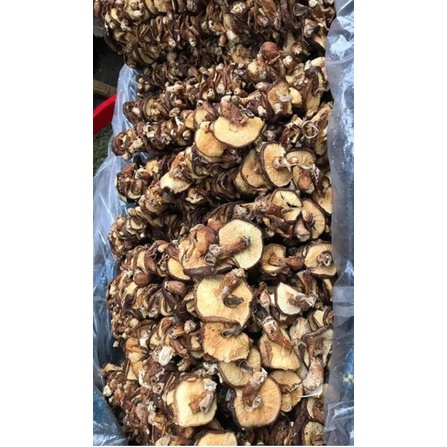 Nấm Hương Rừng Sapa, Đặc Sản Tây Bắc Chuẩn Ngon Giàu Dinh Dưỡng