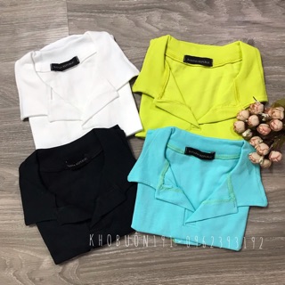 Áo Croptop Polo Basic Ngắn Tay - AN02