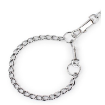 Bộ Dây Dắt Kèm Vòng Cổ Inox Cho Chó Mèo (CÓ SIZE CHO CHÓ LỚN)