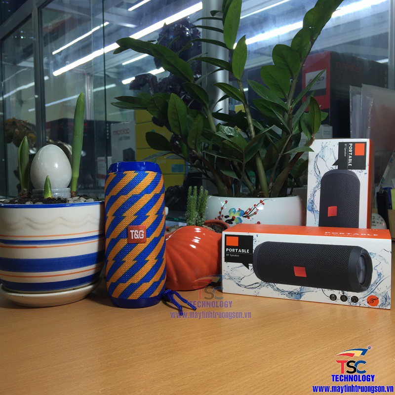 Loa Bluetooth Mini PORTABLE TG117 Wireless Speaker | Bluetooth, USB, SD, Lưu Điện