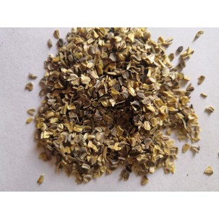 50 Hạt giống cúc chi mix