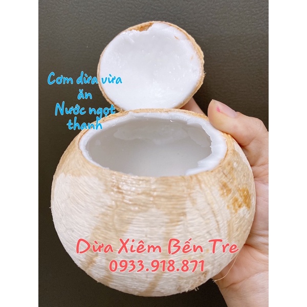 Combo 5 trái dừa xiêm Bến Tre gọt trọc