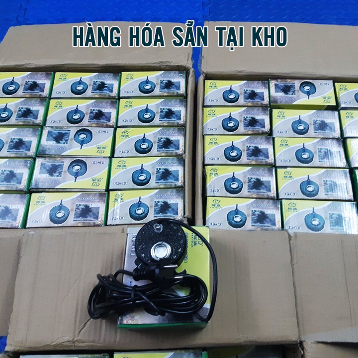 Máy Phun Sương 220V Động Cơ Phun Sương Khói Bể Cá