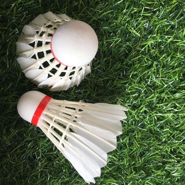 Hộp 10 quả cầu lông thi đấu Ba sao 0