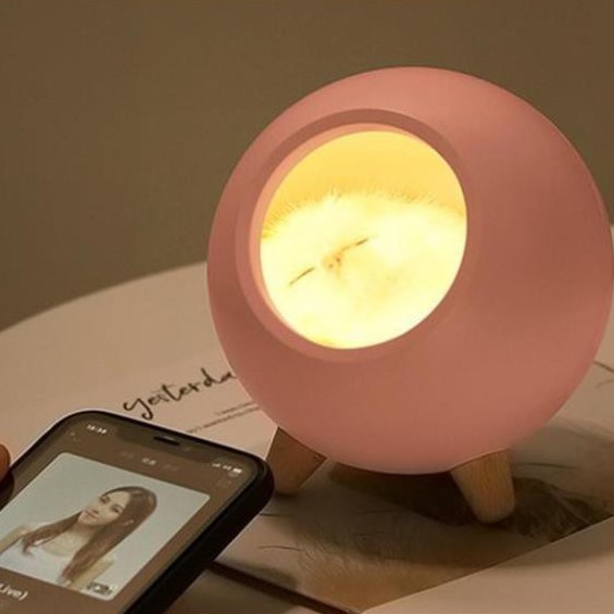Đèn Ngủ Để Bàn Có Loa Bluetooth Mèo Tổ Ấm, Decor Trang Trí Phòng Ngủ, Quà Tặng Sinh Nhật Đáng Yêu MEILI STORE