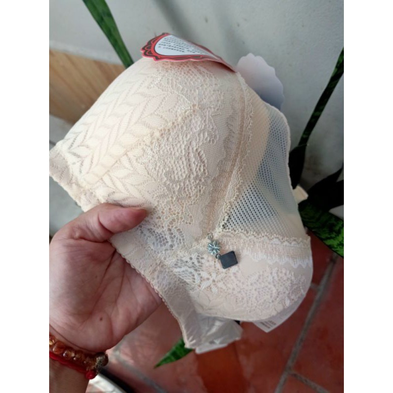 Áo lót ren big size có màng che ngực sexy