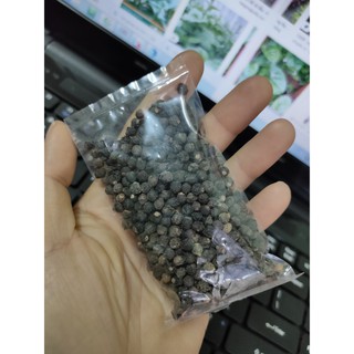 HẠT GIỐNG RAU MÙNG TƠI 20GRAM