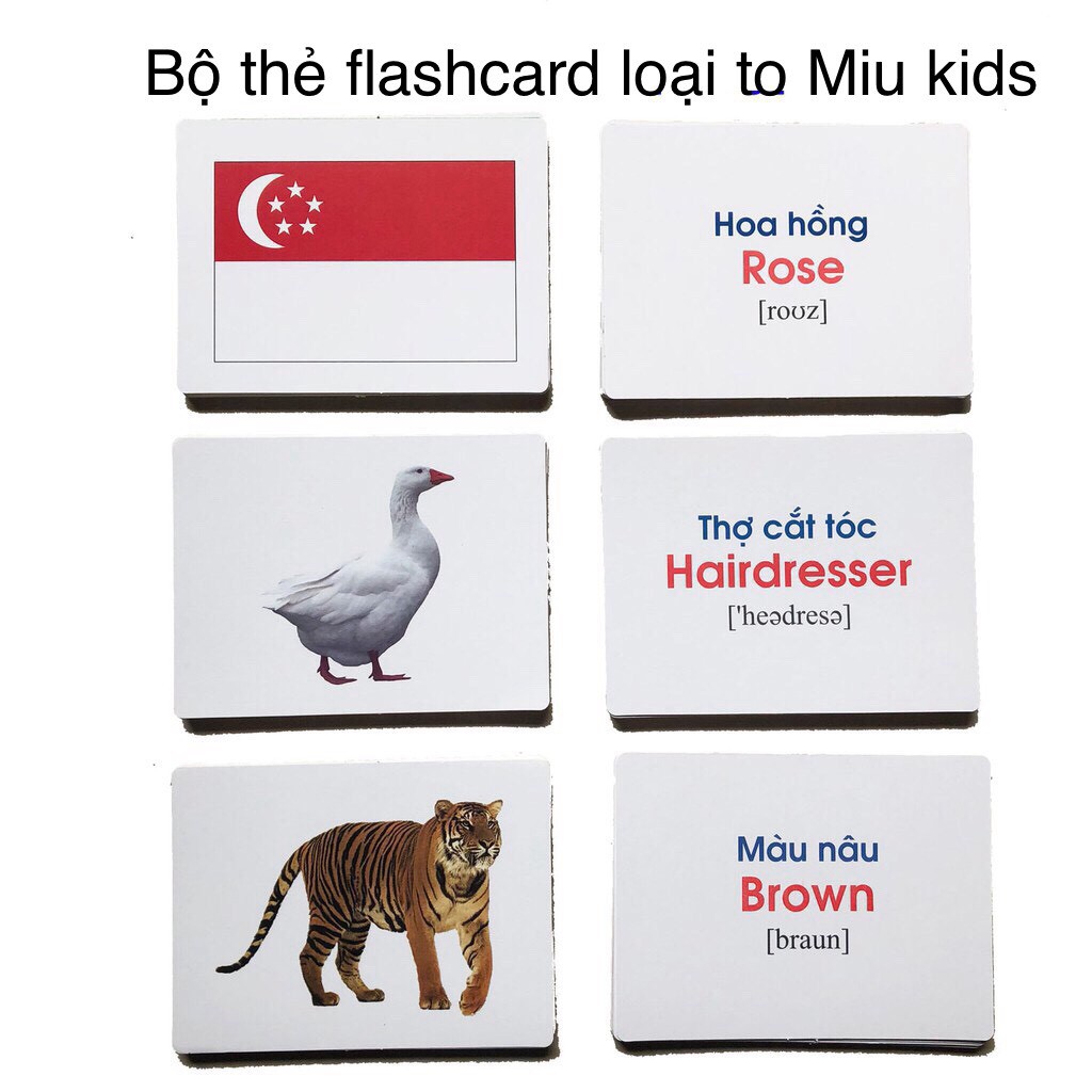 [TẶNG QUÀ 0] Thẻ học thông minh cho bé, flashcard 301 thẻ kích thước to 12x16cm, loại chuẩn glenn doman