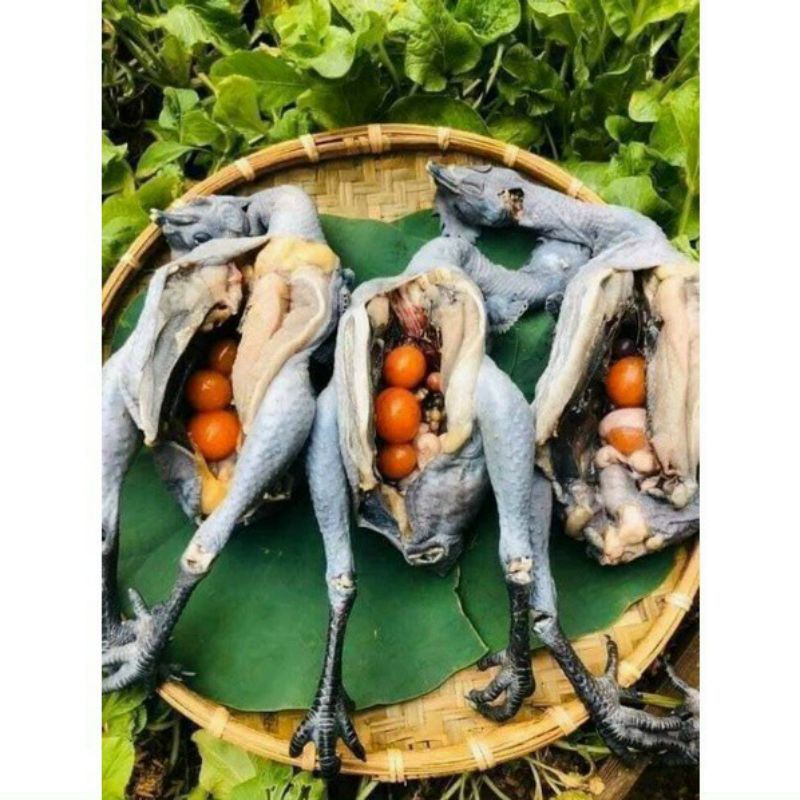 Gà ác ôm trứng non con 500gr tới 700g 99
