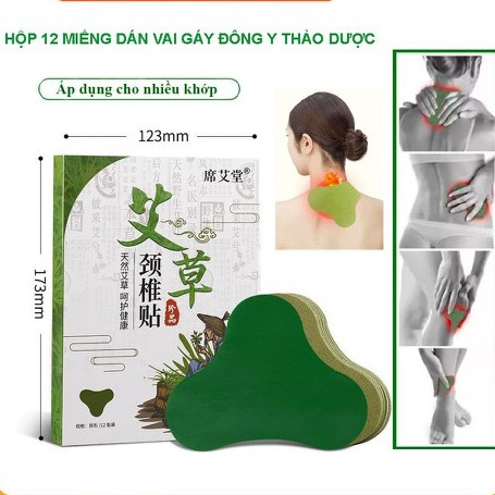 Hộp 12 Miếng Dán Vai Gáy Đông Y Thảo Dược