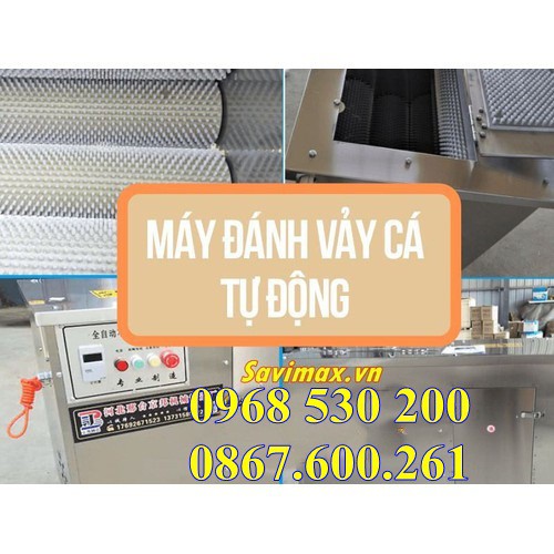 HOT máy đánh vảy cá mua ở đâu