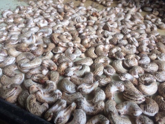 Hạt điều siêu vip 3H