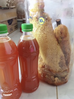 Mật ong ruồi đắc lắc(1lit)