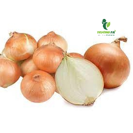 CỦ HÀNH TÂY TƯƠI