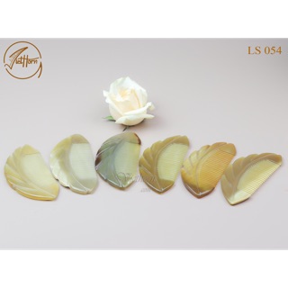 LƯỢC SỪNG TRÂU TỰ NHIÊN CHẢI TÓC-MASSAGE-CẠO GIÓ -VIETHORN LS054-LS055