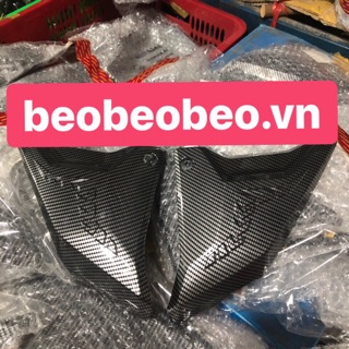 Ốp sườn winner x cacbon