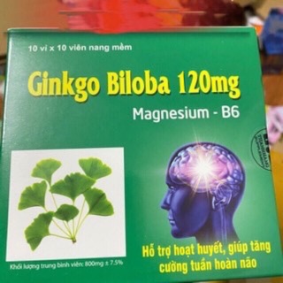 Ginkgo biloba 120mg Magnesium B6 hộp 100 viên