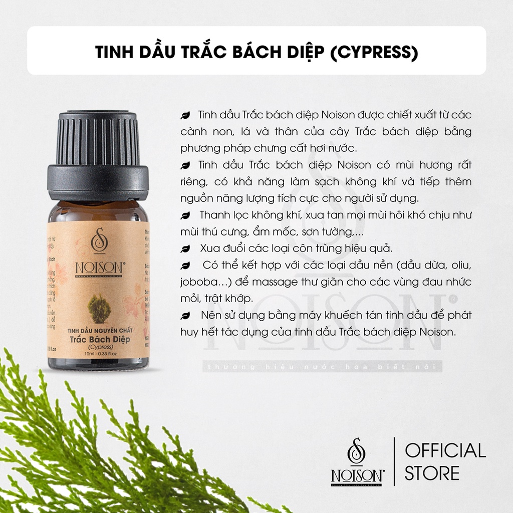 [BÌNH 1 LÍT] Tinh dầu Trắc Bách Diệp Noison | Cypress Essential Oil | Nhập khẩu Ấn Độ |