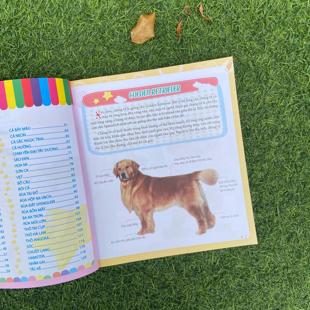 Sách: Bách Khoa Động Vật Dành Cho Trẻ Nhỏ - Thú Cưng - TSTN