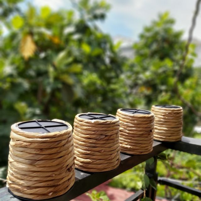 Chậu nhựa bọc lục bình
