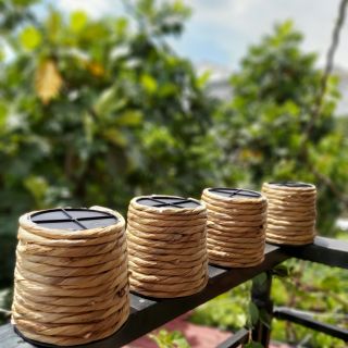 Chậu nhựa bọc lục bình