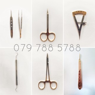 Bộ dụng cụ nhấn mí lẻ