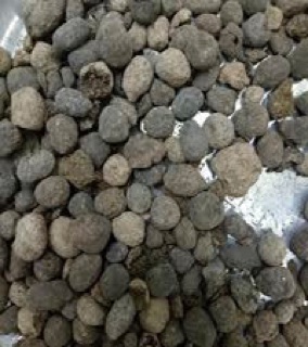 Phân dê khô đã qua xử lý 1kg