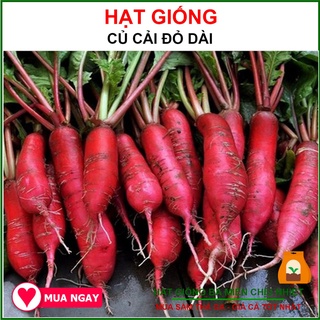 Hạt Giống Củ Cải Đỏ Dài 2Gram