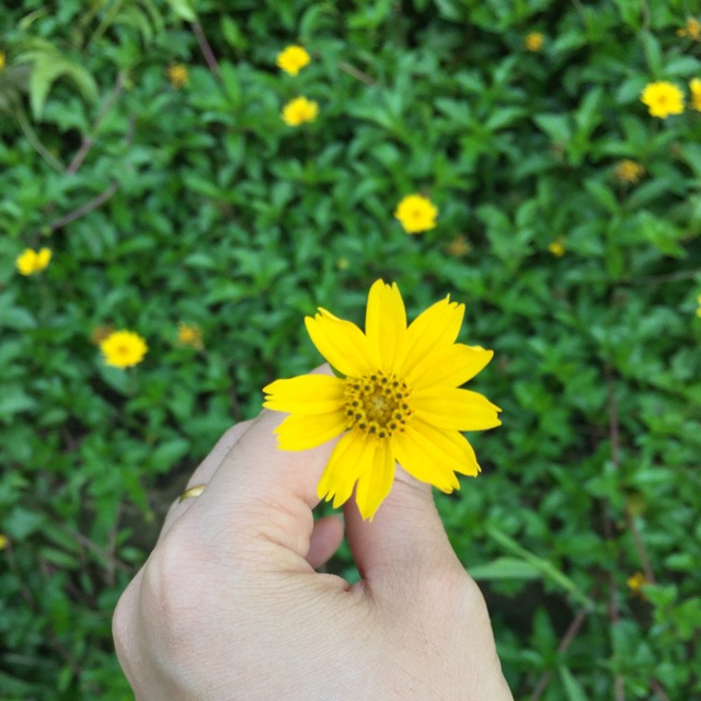 Phương Phương_Order Auth, Cửa hàng trực tuyến | BigBuy360 - bigbuy360.vn