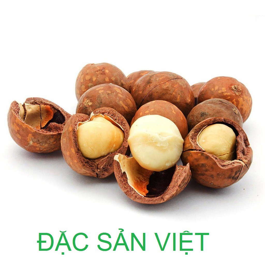 Hạt macca 500g giòn ngon kèm khui tách hạt