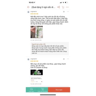 Cần tây diệp lục collagen