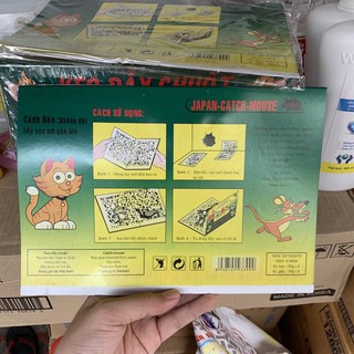 MIẾNG DÁN BẪY CHUỘT⚡️FREE SHIP⚡️ SIÊU DÍNH