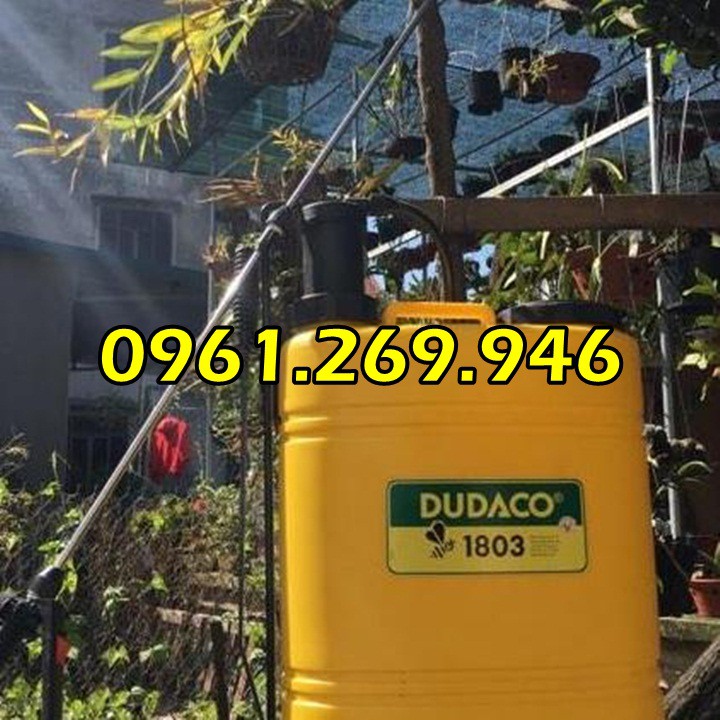 Bình 18 Lít Dudaco Xuất Khẩu 2 Cần Inox-B1803