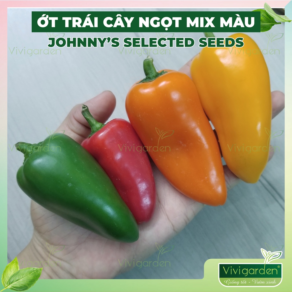 Hũ lẻ 10 hạt giống ớt trái cây ngọt mix màu giống hữu cơ Mỹ Johnny Seeds siêu ngon