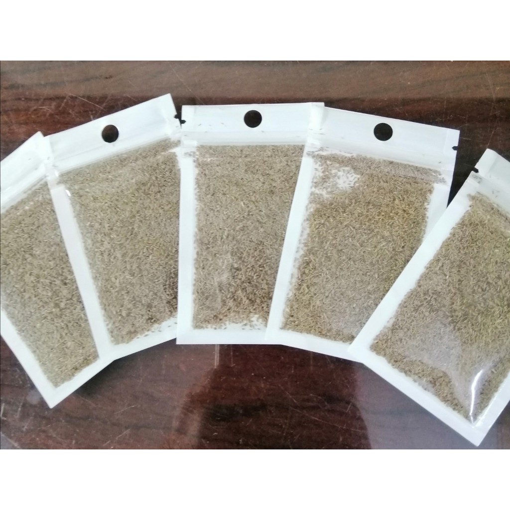 Hạt Giống Thuỷ Sinh Ngưu Mao Chiên .