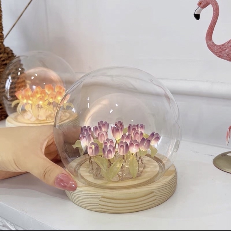 Đèn ngủ để bàn hình hoa tulip trong lồng kính decor phòng siêu đỉnh - Quà tặng người yêu