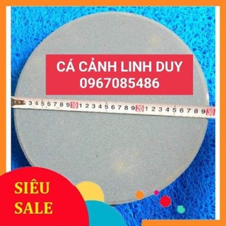 Sủi Đĩa oxi siêu mịn  20cm và 30cm