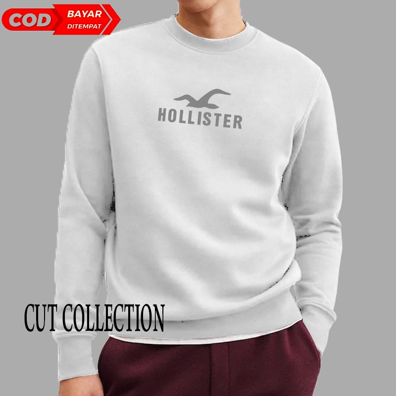 Áo Khoác Hoodie Màu Bạc Có Khóa Kéo In Logo Hollister Cao Cấp Thời Trang Cho Nam Nữ