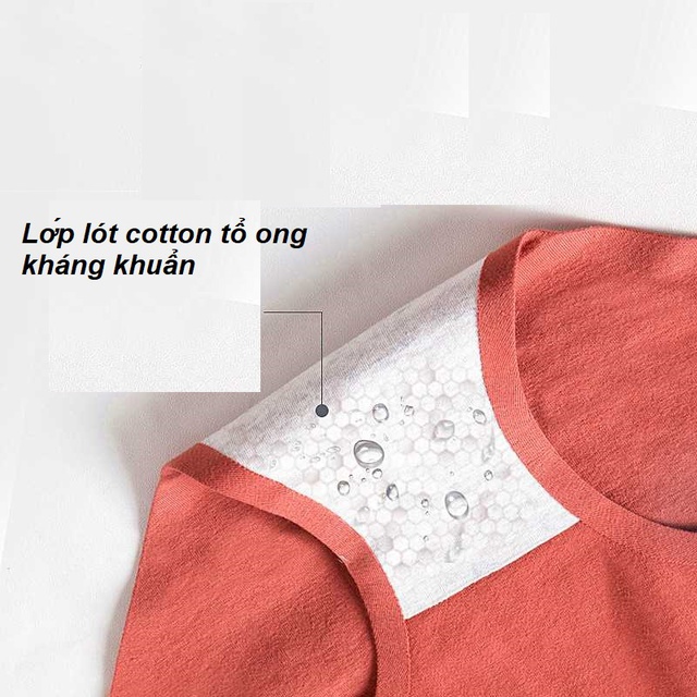 [CÓ SIZE L Quần lót cotton không đường may mềm mịn siêu thấm QC55 | WebRaoVat - webraovat.net.vn